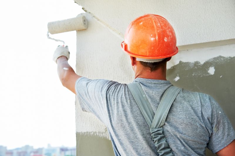 Cladding Painting in Longmont, CO